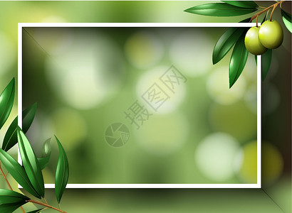 绿色橄榄框架带有橄榄计划的边框模板插画