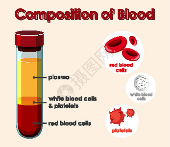 显示血液成分的图表绘画教育红血细胞生物学生活白血艺术学习意义设计图片