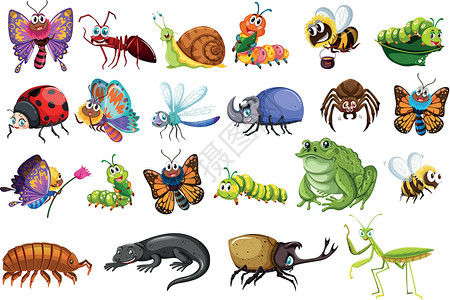 蜥蜴面具一组昆虫 包括蝴蝶 甲虫 蜥蜴 青蛙和蜜蜂插画