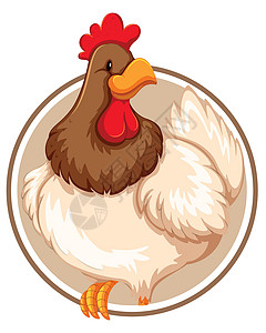 母鸡孵小鸡贴纸模板上的一只鸡绘画农场标签母鸡公鸡圆圈艺术插图夹子横幅设计图片
