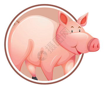 围圈旗帜中的猪贴纸推介会卡片动物插图创造力框架圆形艺术农场背景图片