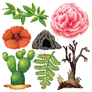 一组孤立的对象主题 gardenin石头卵石花园植物团体洞穴热带场景收藏环境背景图片