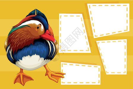 鸭注意模板框架插图文档标签卡片艺术笔记横幅动物绘画背景图片