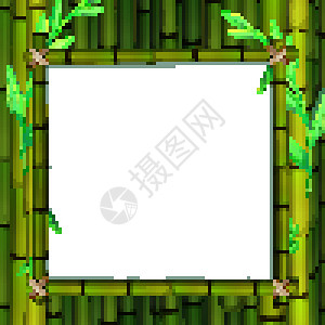 带绿色 babmo 的框架模板空白新年树叶环境海报甘蔗卡通片边界植物艺术背景图片