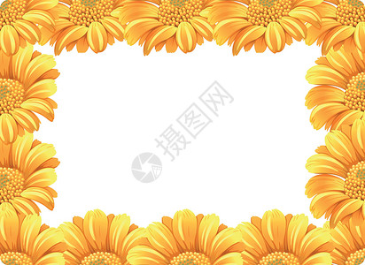 黄色圆框花边框黄色雏菊花边框季节叶子植物花园框架装饰品绘画插图邀请函夹子插画