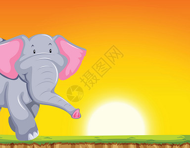 日落场景中的大象背景图片