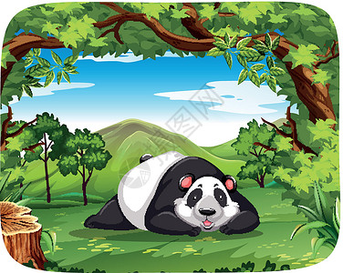 熊猫木场景背景图片