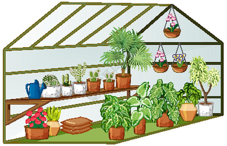 哈内曼足温室温室开阔视野 内有许多植物插画