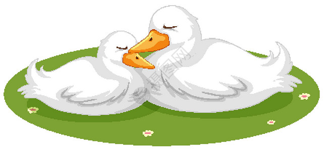 睡草睡在草地上的可爱鸭子动物小鸭子睡眠地面羽毛绘画夹子插图飞行环境插画