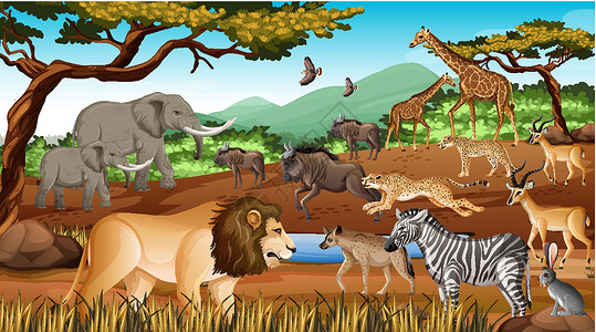 荒野猎人森林场景中的非洲野生动物群动物食肉狮子天空动物群野生动物丛林卡通片国王收藏插画