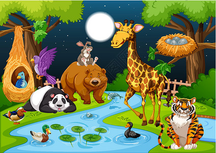 新加坡夜间动物园夜间森林中的野生动物插画