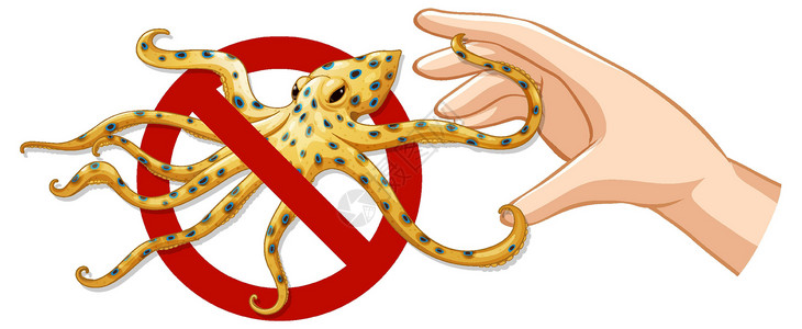 警告蓝环章鱼禁止标志 手放在白色背景上高清图片