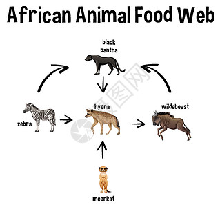 用于教育的非洲动物食品网夹子艺术运输自行车学习插图鬣狗荒野斑马网络设计图片