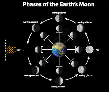 显示地球上月相的图表剪贴黑暗星星世界天文学家天空宇宙学天文插图海报插画