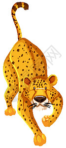 孤立的猎豹卡通人物背景图片