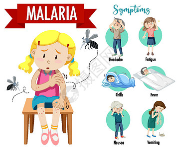 疟原虫疟疾症状信息图表插图标识蚊子药品框架指示牌生物疾病卡通片呕吐插画