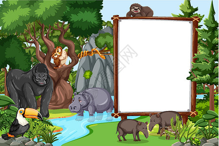 热带雨林场景中的空白横幅与野生动物生态卡通片动物学木头旅行风景冒险木板热带荒野背景图片