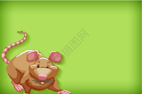 具有纯色和棕色鼠标的背景模板卡通片动物园绿色野生动物动物群绘画生物环境艺术动物背景图片