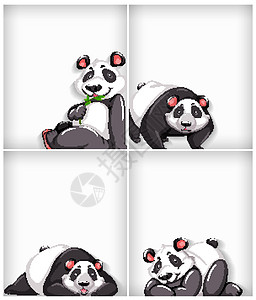纯色可爱熊猫背景模板设计哺乳动物插图空白绘画卡通片环境生物动物动物园动物群背景图片