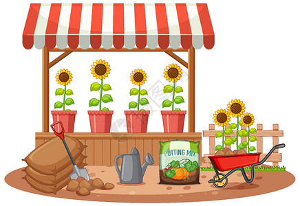 肥料袋在 sho 的有机向日葵夹子插图绘画肥料店铺艺术销售花瓣卡通片植物插画