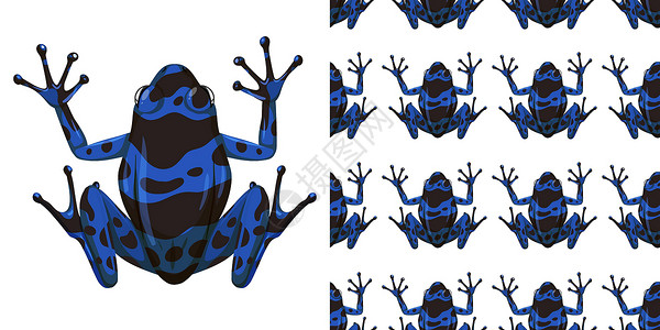 孤立在白色背景和无缝钢管上的蓝色箭毒蛙插画
