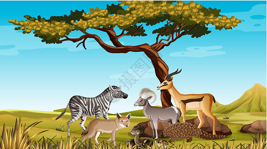 森林场景中的非洲野生动物群动物园生物狮子丛林荒野猎人插图风景环境哺乳动物插画