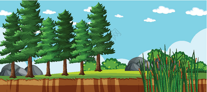 松苑原始森林公园多松自然公园场景中的空白景观收藏石头环境卡通片岩石插图绘画蓝色天空面具插画