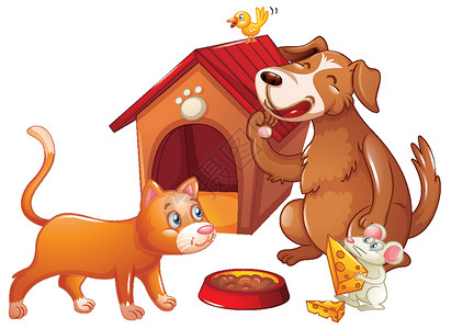 鼠鸟目狗屋与白色背景上的宠物动物卡通人物插画