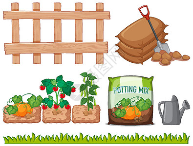 蔬菜组合素材前卫的不同蔬菜和工具插画