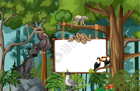 热带雨林动物热带雨林场景中的空白横幅与野生动物丛林木板动物卡通片生活旅行插图动物群动物学生态设计图片