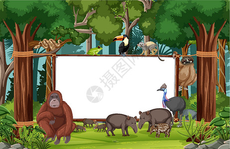 热带雨林动物热带雨林场景中的空白横幅与野生动物雨林热带生活生物动物园风景卡通片木头动物动物群设计图片