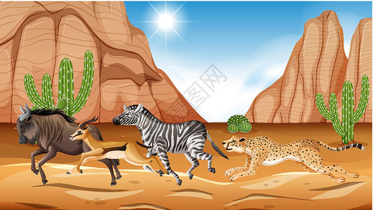 荒野地野生动物奔跑的大草原太阳绘画动物猎豹植物赛车环境生物哺乳动物活动插画