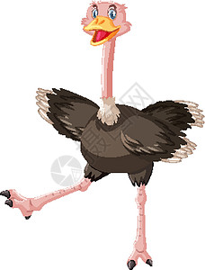 可爱的鸵鸟卡通人物卡通片绘画羽毛插图生物艺术品艺术夹子微笑飞行背景图片