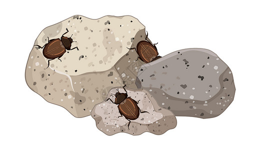 令人毛骨悚然的石叶分离物上昆虫的顶视图插画