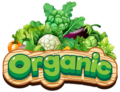 有机大米字体许多蔬菜有机词的字体设计语言措辞食物水果农业紫色辣椒插图框架植物插画