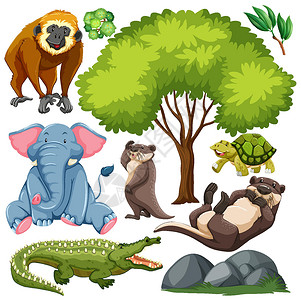 一套可爱的野生动物和自然动物园荒野包装插图植物墙纸团体孩子们孩子卡通片背景图片