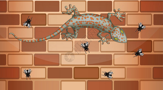 砖墙上的壁虎与卡通风格的许多苍蝇棕色卡通片动物飞行皮肤插图绘画收藏橙子爬虫背景图片