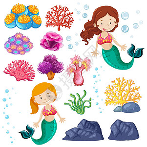 美人鱼和珊瑚环境插图高清图片