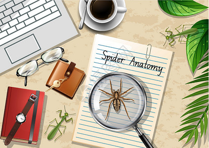 螳螂元素带有绿叶和昆虫办公元素的顶视图办公室工作台蜘蛛生理工作电脑解剖学动物插图眼镜家具商业插画