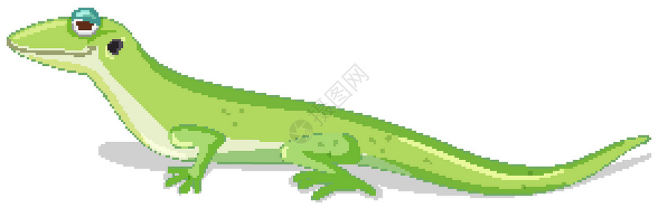 孤立的绿色蜥蜴漫画背景图片