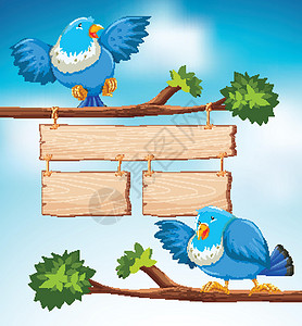 蓝色两只鹦鹉分支背景上有两只蓝鸟的标志模板插画