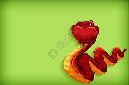 具有纯色和红色蛇的背景模板设计绘画荒野动物群空白卡通片动物园绿色生物插图动物背景图片