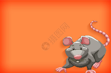 具有纯色和灰色鼠标的背景模板动物园野生动物空白橙子环境动物老鼠艺术动物群插图背景图片