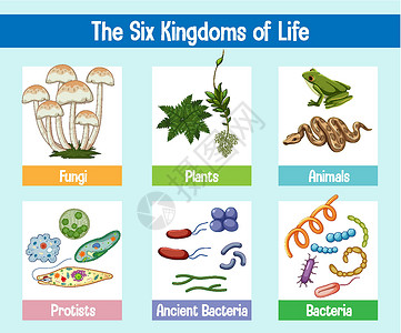 原生生物真细菌自然高清图片