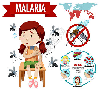 疟原虫疟疾传播周期和症状信息图表昆虫疾病病人插图蚊子动物保健运输生物标识插画