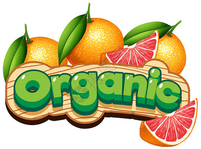 有机橘子葡萄柚有机词的字体设计插画