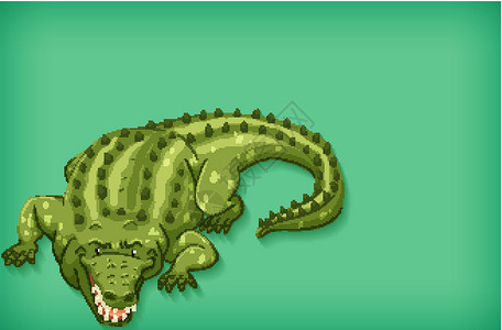 具有纯色和绿色鳄鱼的背景模板设计背景图片