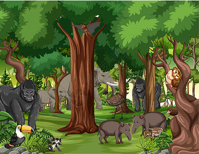 红山森林动物园森林场景中的野生动物卡通人物风景动物园灵长类土地冒险动物学哺乳动物环境生物木头设计图片
