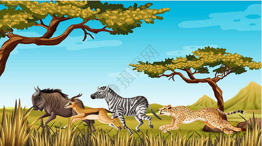 荒野地奔跑在自然界的野生动物植物慢跑活动角马猎豹动物斑马场景环境羚羊插画