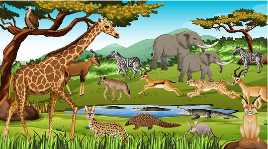 荒野猎人森林场景中的非洲野生动物群卡通片插图动物群哺乳动物国王土地环境生物风景收藏插画